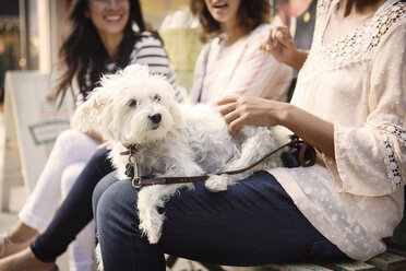 Woman with dog on lap while sitting with friends at sidewalk cafe - CAVF22544