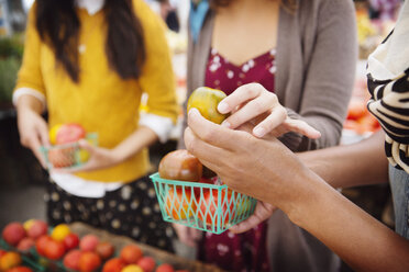 Mittelteil von Freunden beim Einkaufen von Tomaten an einem Marktstand - CAVF22552