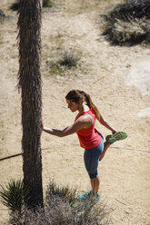 Hochformatige Ansicht einer Wanderin, die an einem Baum im Joshua Tree National Park trainiert - CAVF22578