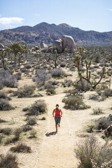 High angle view of female hiker running at Joshua Tree National Park during sunny day - CAVF22580