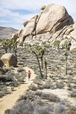 High angle view of hiker running at Joshua Tree National Park during sunny day stock photo