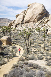 High angle view of hiker running at Joshua Tree National Park during sunny day - CAVF22581