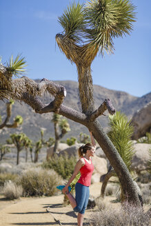 Seitenansicht einer Wanderin beim Training im Joshua Tree National Park an einem sonnigen Tag - CAVF22583