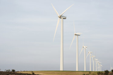 Windkraftanlagen auf einem Feld bei klarem Himmel - CAVF22635