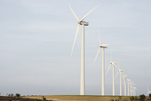 Windkraftanlagen auf einem Feld bei klarem Himmel - CAVF22635