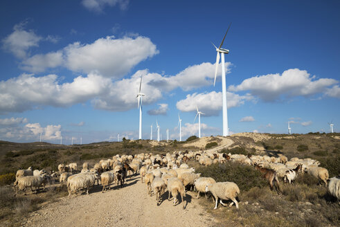 Windmühlen und Schafherde im Windpark gegen bewölkten Himmel - CAVF22650