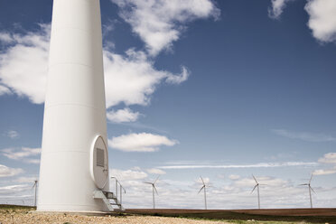 Windräder auf einem Feld vor blauem Himmel - CAVF22655