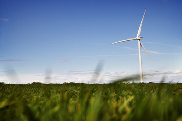 Wind turbine on grassy field against blue sky - CAVF22658