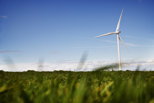 Windkraftanlage auf einer Wiese vor blauem Himmel - CAVF22658