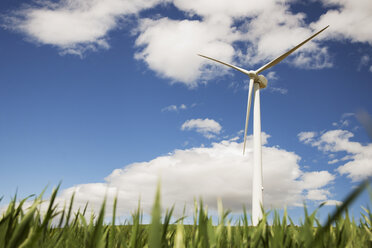 Niedriger Blickwinkel auf eine Windkraftanlage auf einem grasbewachsenen Feld gegen den Himmel - CAVF22663