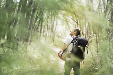 Rückansicht eines Wanderers im Wald - CAVF22685