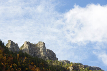 Low angle view of forest on mountain against sky - CAVF22729