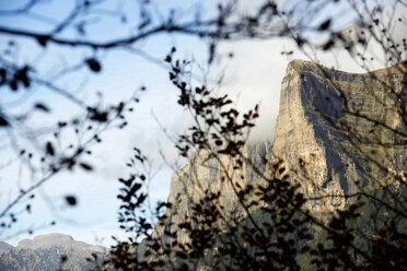Niedriger Blickwinkel auf die Berge durch die Pflanzen im Ordesa-Nationalpark - CAVF22730