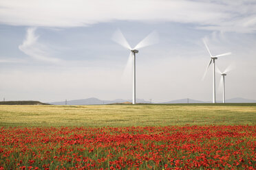 Windkraftanlagen auf einem Feld mit Mohnblumen im Vordergrund - CAVF22746