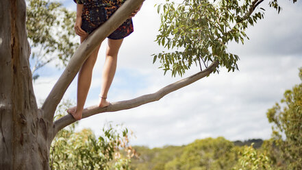 Low section of woman standing on branch against sky - CAVF22824