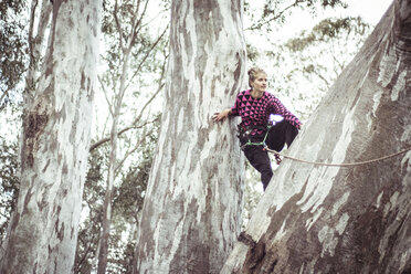 Niedriger Blickwinkel von Frau kletternden Baum gegen Himmel im Wald - CAVF22875