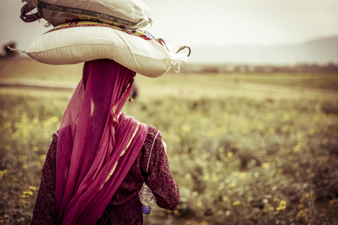 Rear view of woman carrying bags on head at farm stock photo