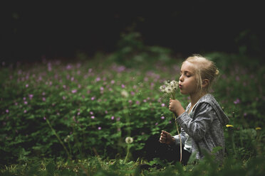 Girl blowing dandelions while sitting on field at park - CAVF22970