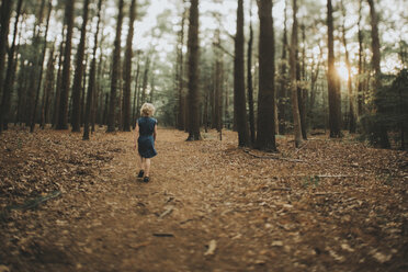 Rückansicht eines Mädchens, das auf einem Feld inmitten von Bäumen im Wald läuft - CAVF22972