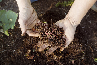 Hand of woman farmer inspecting soil on farm - CAVF23382