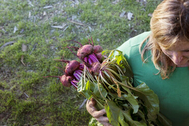 Woman farmer harvesting fresh vegetables on farm - CAVF23390