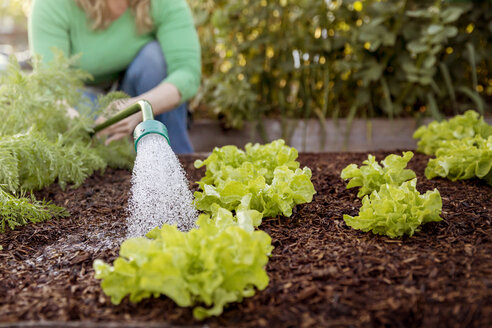 Woman watering vegetable plants on farm - CAVF23394