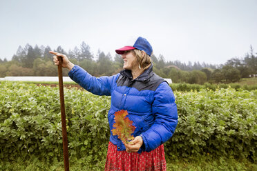 Woman farmer smiling holding fresh lettuce - CAVF23403