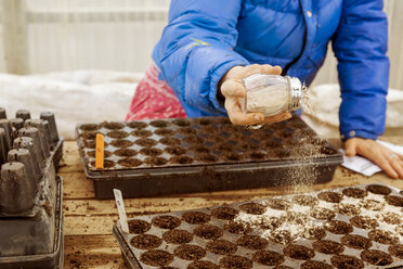 Bäuerin pflanzt neues Saatgut im Gewächshaus auf dem Bauernhof - CAVF23405