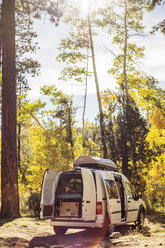 Frau liest ein Buch und entspannt sich im Herbst im Wohnmobil - CAVF23444