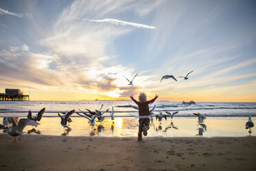 Rear view of girl playing with seagulls at beach against sky during sunset - CAVF23513