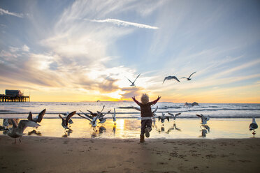 Rückansicht eines Mädchens, das mit Möwen am Strand gegen den Himmel bei Sonnenuntergang spielt - CAVF23513