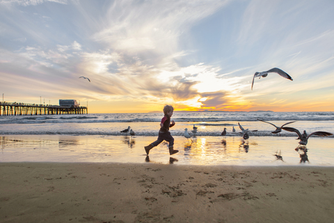 Mädchen spielt mit Möwen am Strand gegen den Himmel bei Sonnenuntergang, lizenzfreies Stockfoto