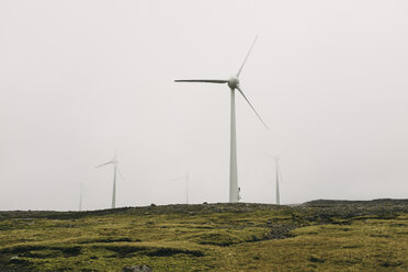 Windmühlen auf dem Feld gegen den klaren Himmel - CAVF23590