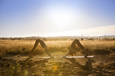 Freundinnen üben auf einem Feld Yoga in der abwärts gerichteten Hundestellung - CAVF23798