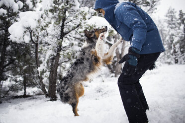 Seitenansicht eines Teenagers, der mit einem Hund auf einem schneebedeckten Feld spielt - CAVF23941