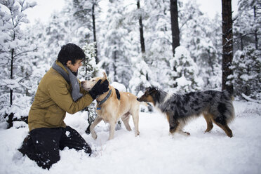 Teenager playing with dogs against trees on snow covered field - CAVF23942