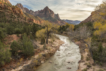 River amidst mountains during autumn at Zion National Park - CAVF24005