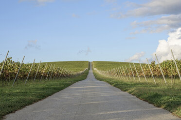 Landstraße inmitten eines Weinbergs gegen den Himmel - CAVF24050