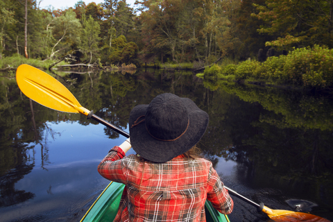 Rückansicht einer Frau beim Kajakfahren auf einem See im Wald, lizenzfreies Stockfoto