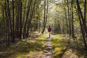 Rear view of woman walking on pathway amidst trees in forest - CAVF24069