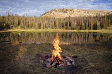 Burning campfire by lake against forest - CAVF24073