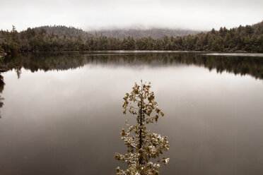 Panoramablick auf See und Berge in den Adirondack Mountains - CAVF24083