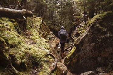 Rückansicht einer Frau, die inmitten von moosbewachsenen Felsen im Wald spazieren geht - CAVF24087