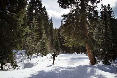 Rückansicht in voller Länge einer Frau beim Skifahren auf einem verschneiten Feld, lizenzfreies Stockfoto