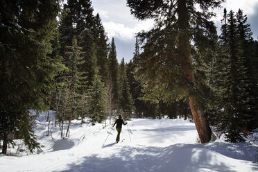 Rückansicht in voller Länge einer Frau beim Skifahren auf einem verschneiten Feld - CAVF24098