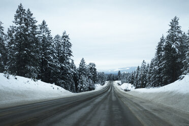 Empty road amidst snow covered trees against cloudy sky - CAVF24104