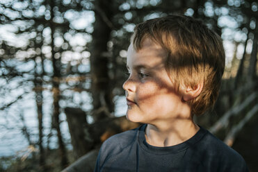 Sunlight falling on thoughtful boy against trees - CAVF24180