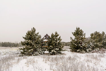 Landschaftliche Ansicht von Bäumen auf schneebedeckter Landschaft gegen klaren Himmel - CAVF24394