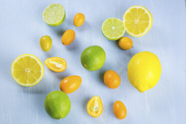 Limes, lemons and kumquats - JUNF01028