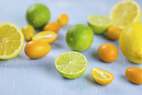 Limetten, Zitronen und Kumquats - JUNF01029